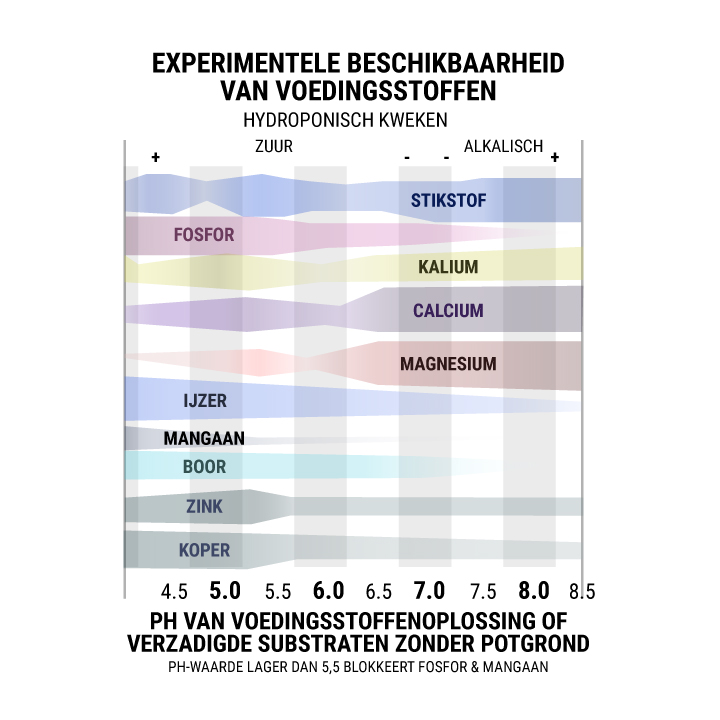Experimentele Beschikbaarheid Van Voedingsstoffen Hydroponisch Kweken Experimentele Beschikbaarheid Van Voedingsstoffen Hydroponisch Kweken