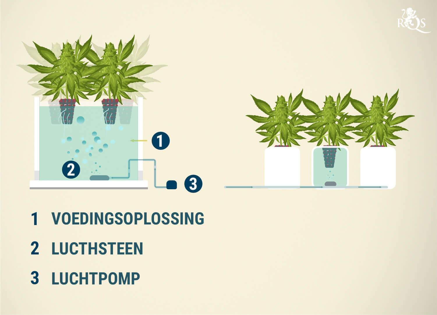 Diepwatercultuur (DWC) Diepwatercultuur (DWC)
